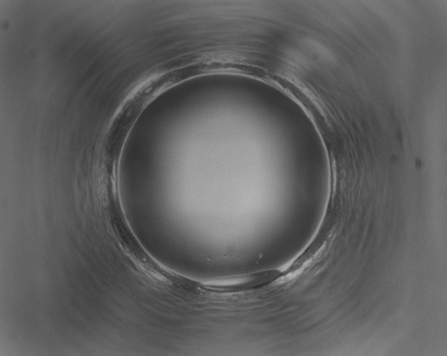 X0000051251115200506171129