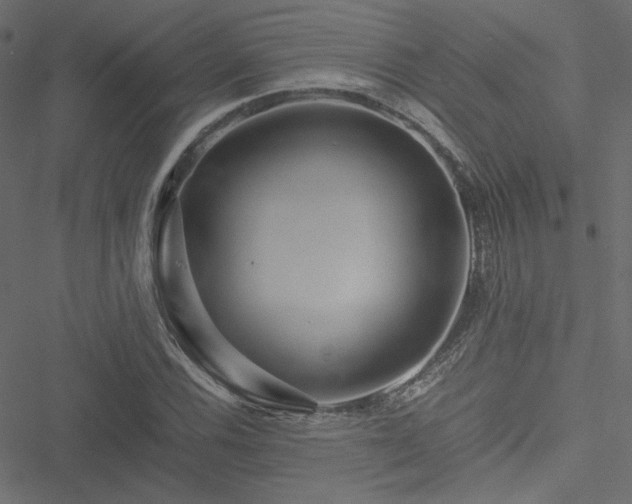 X0000051251116200506171129