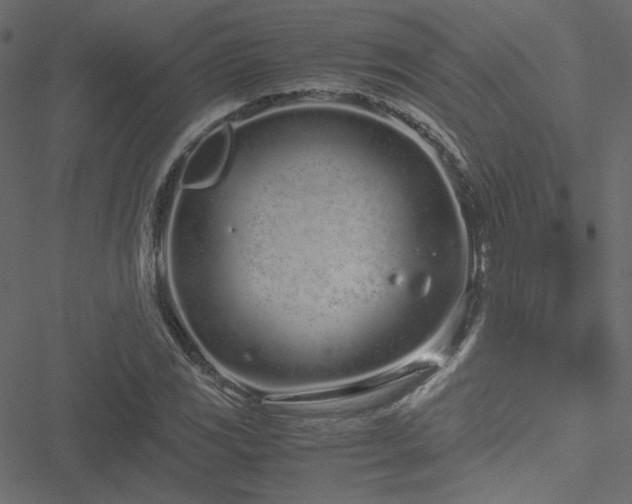 X0000051251117200506171129