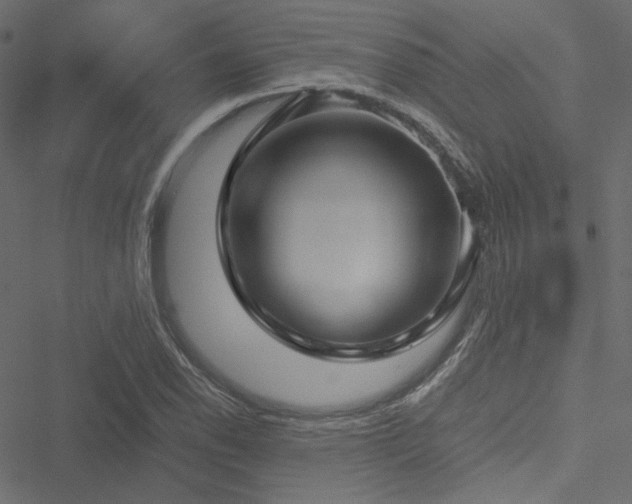 X0000051251118200506171129