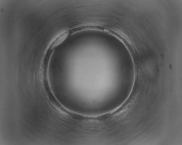 X0000051251119200506171129