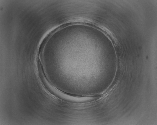 X0000051251120200506171129