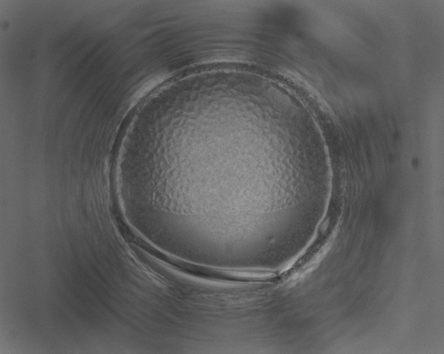 X0000051251121200506171129