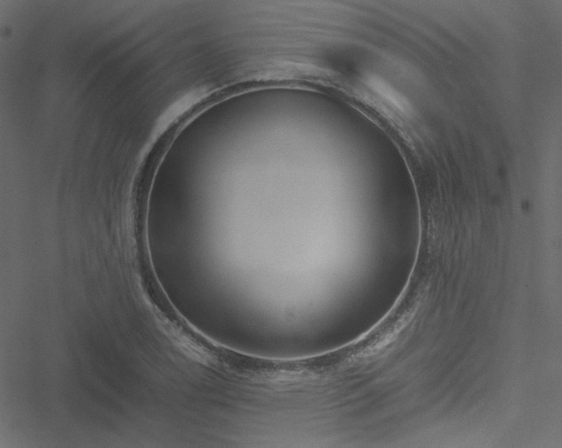 X0000051251122200506171129