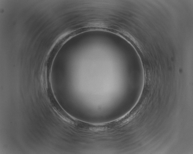 X0000051251123200506171129