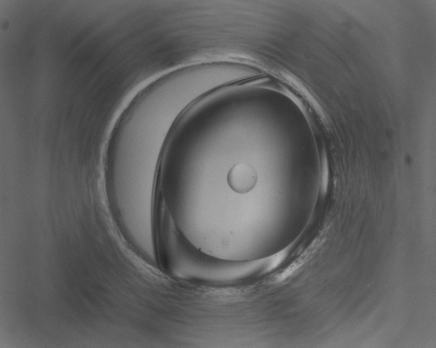 X0000051251124200506171129