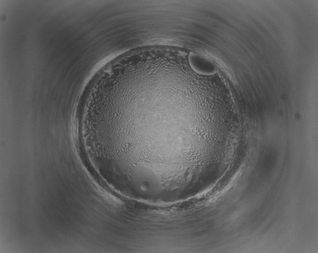 X0000051251125200506171129