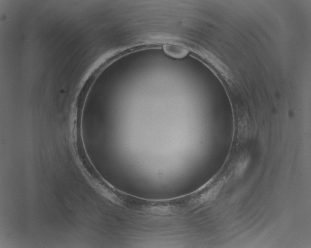 X0000051251126200506171129