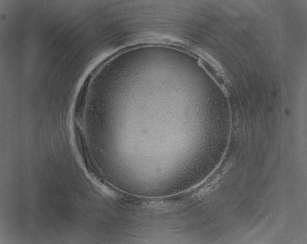 X0000051251128200506171129