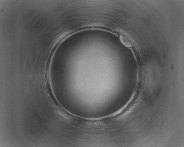 X0000051251129200506171129