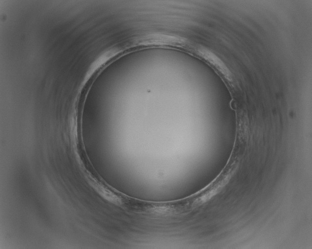 X0000051251130200506171129