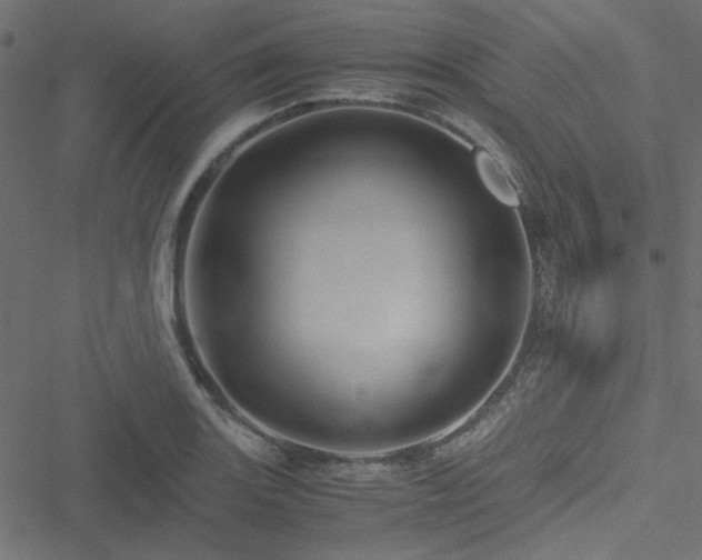 X0000051251131200506171129