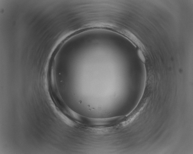 X0000051251132200506171129