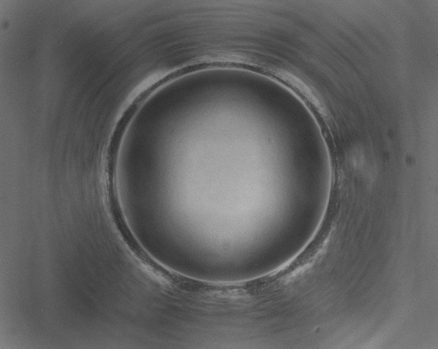 X0000051251133200506171129