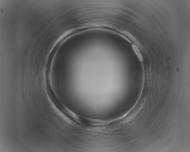 X0000051251134200506171129