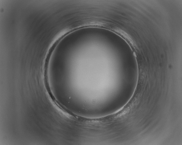 X0000051251135200506171129