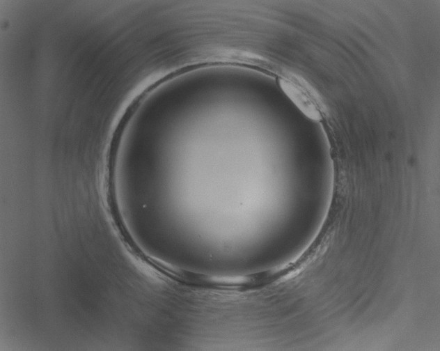 X0000051251136200506171129