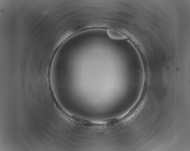 X0000051251137200506171129