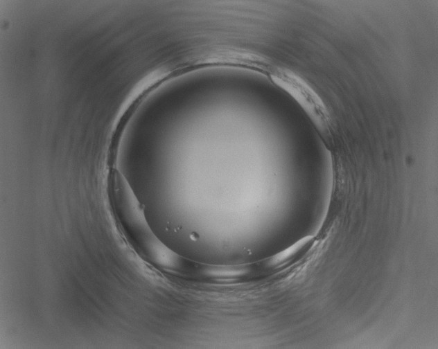 X0000051251138200506171129