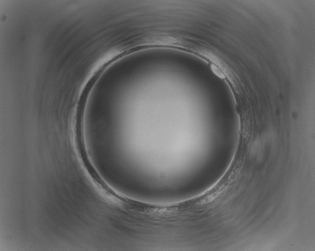 X0000051251139200506171129