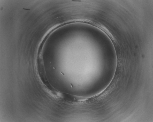 X0000051251140200506171129