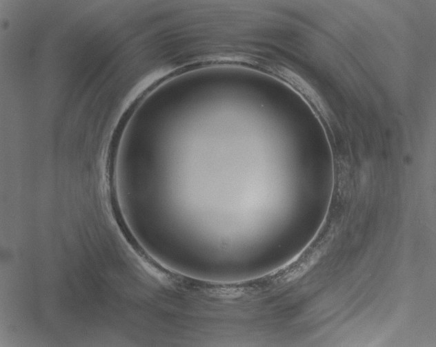 X0000051251141200506171129