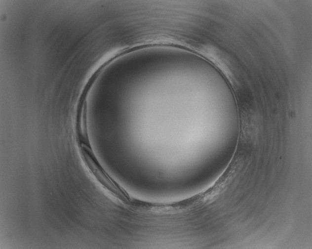 X0000051251142200506171129