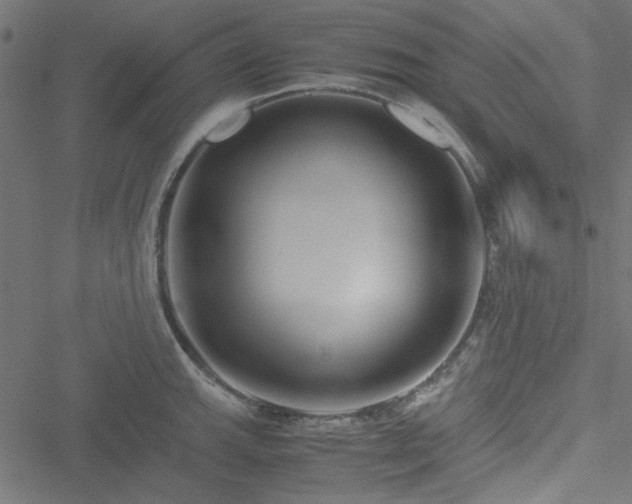 X0000051251143200506171129