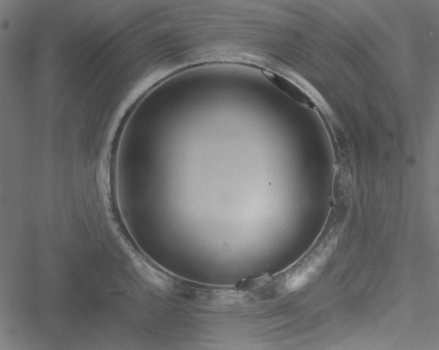 X0000051251144200506171129