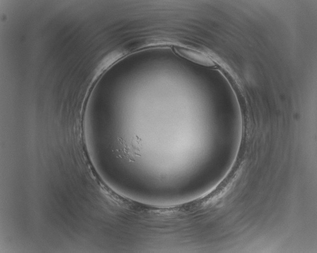 X0000051251145200506171129