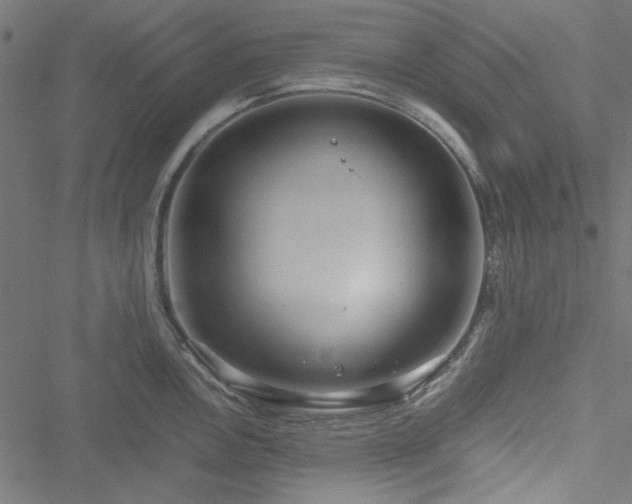 X0000051251146200506171129