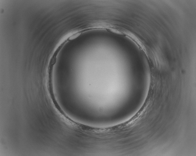 X0000051251147200506171129