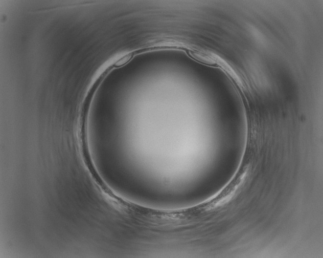 X0000051251149200506171129