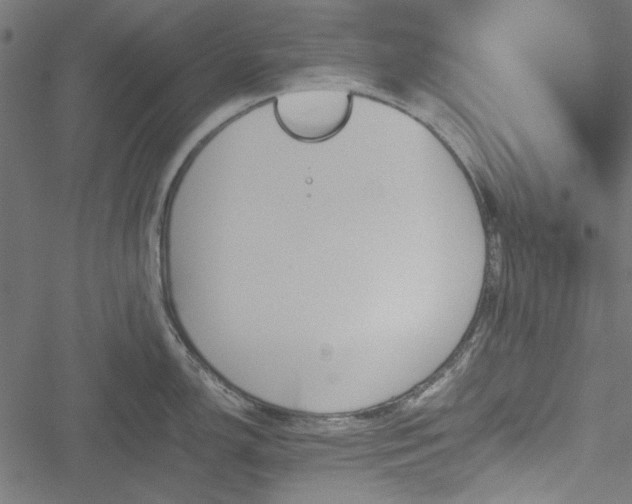 X0000051251150200506171129