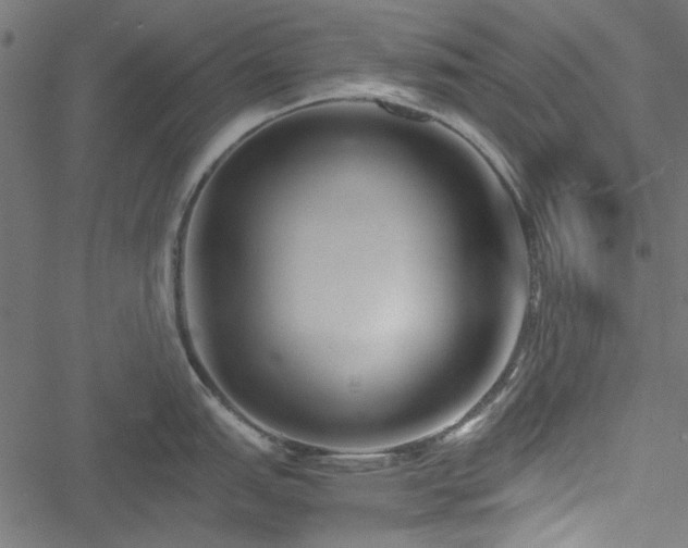 X0000051251151200506171129