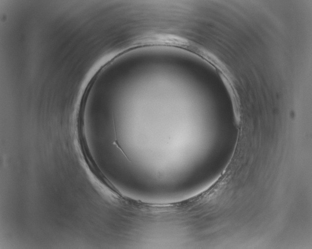 X0000051251152200506171129