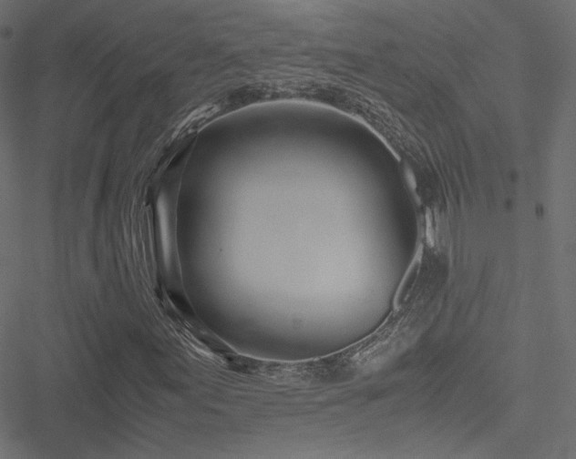 X0000051251155200506171128