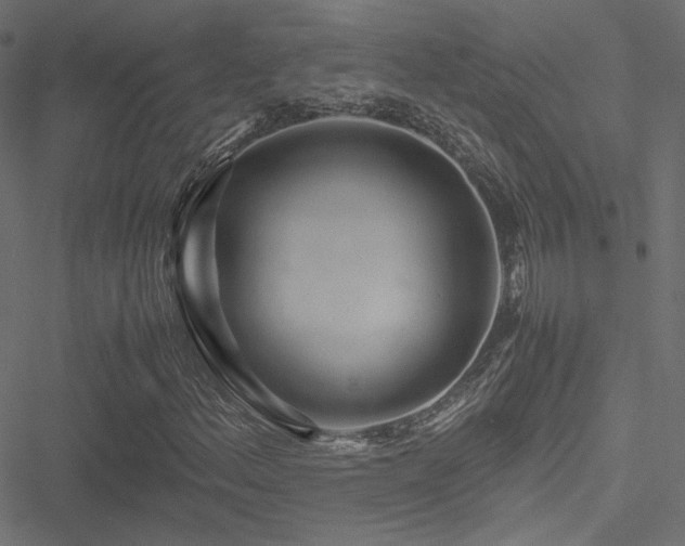 X0000051251156200506171128