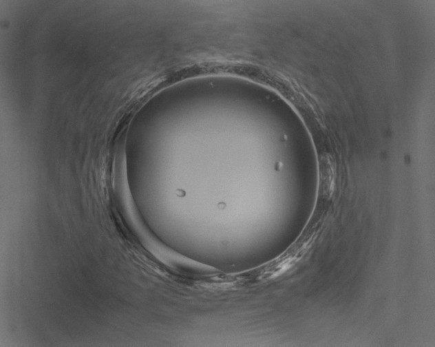 X0000051251157200506171128