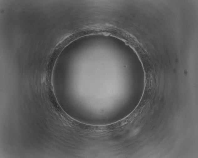 X0000051251158200506171128