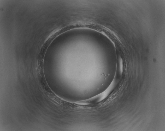 X0000051251160200506171128