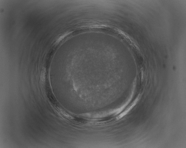 X0000051251161200506171128