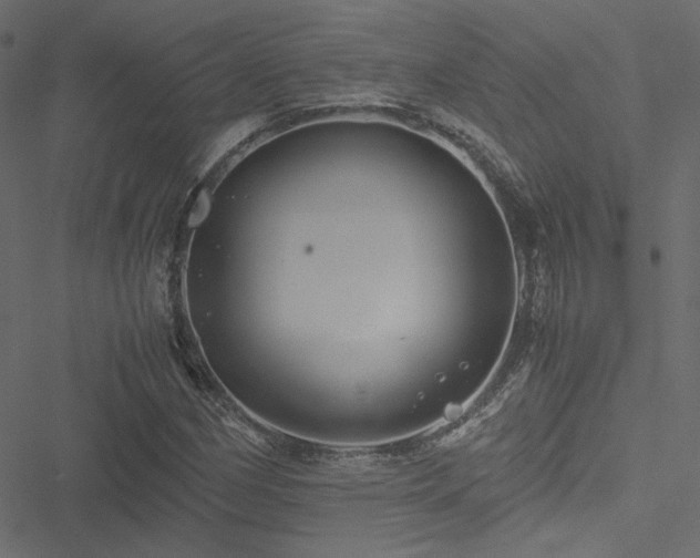 X0000051251162200506171128