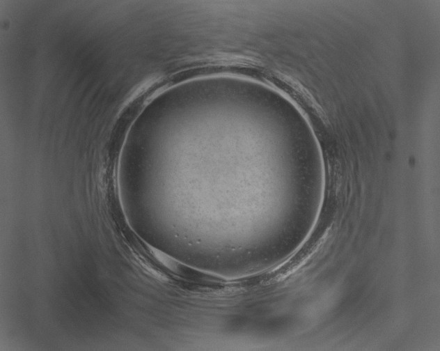 X0000051251163200506171128