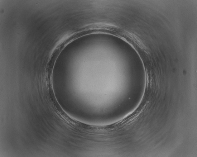 X0000051251164200506171128