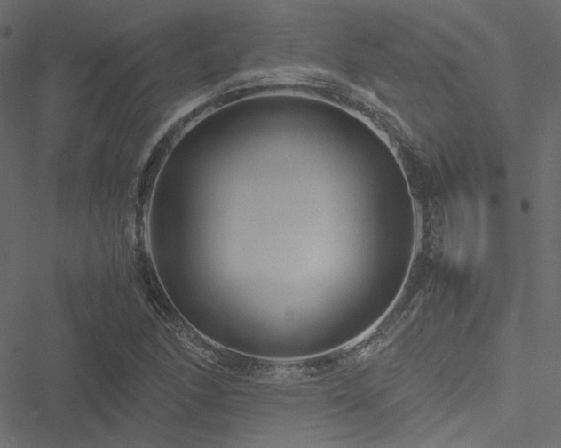 X0000051251166200506171128