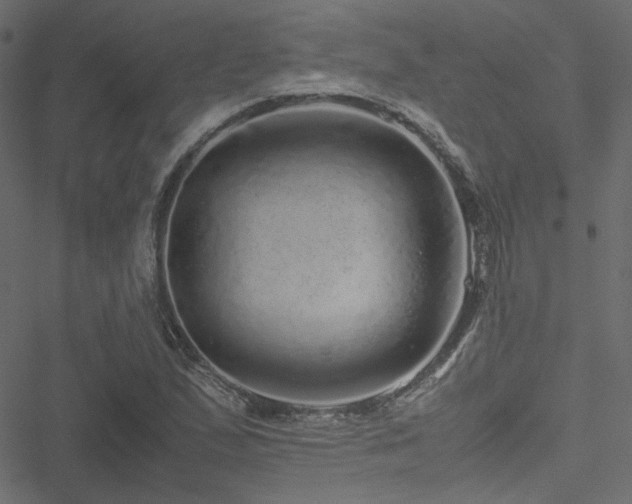 X0000051251167200506171128