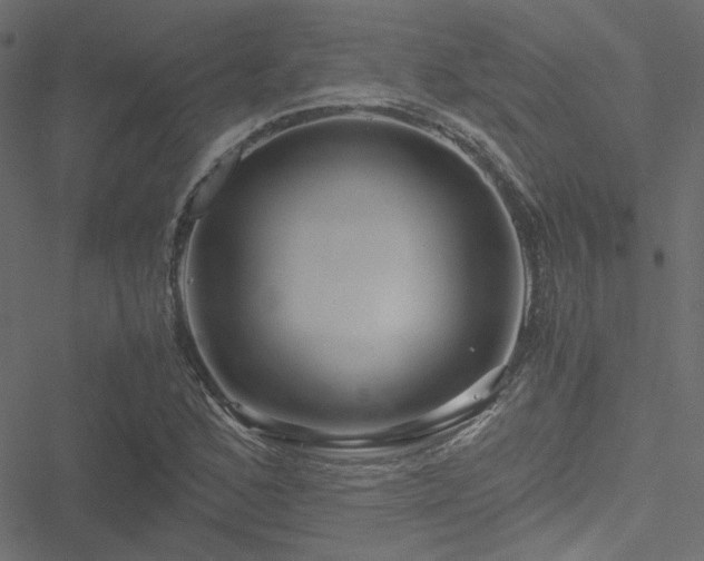 X0000051251168200506171128