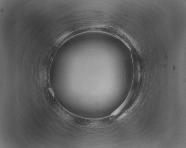 X0000051251169200506171128