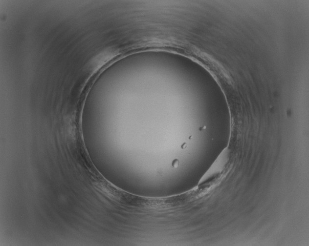 X0000051251170200506171128